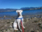 Walk photos