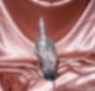 Silver middle finger