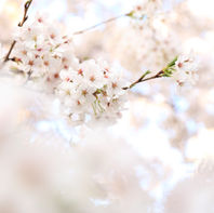 7 tips when beginning Astrology