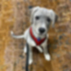 Walk photos
