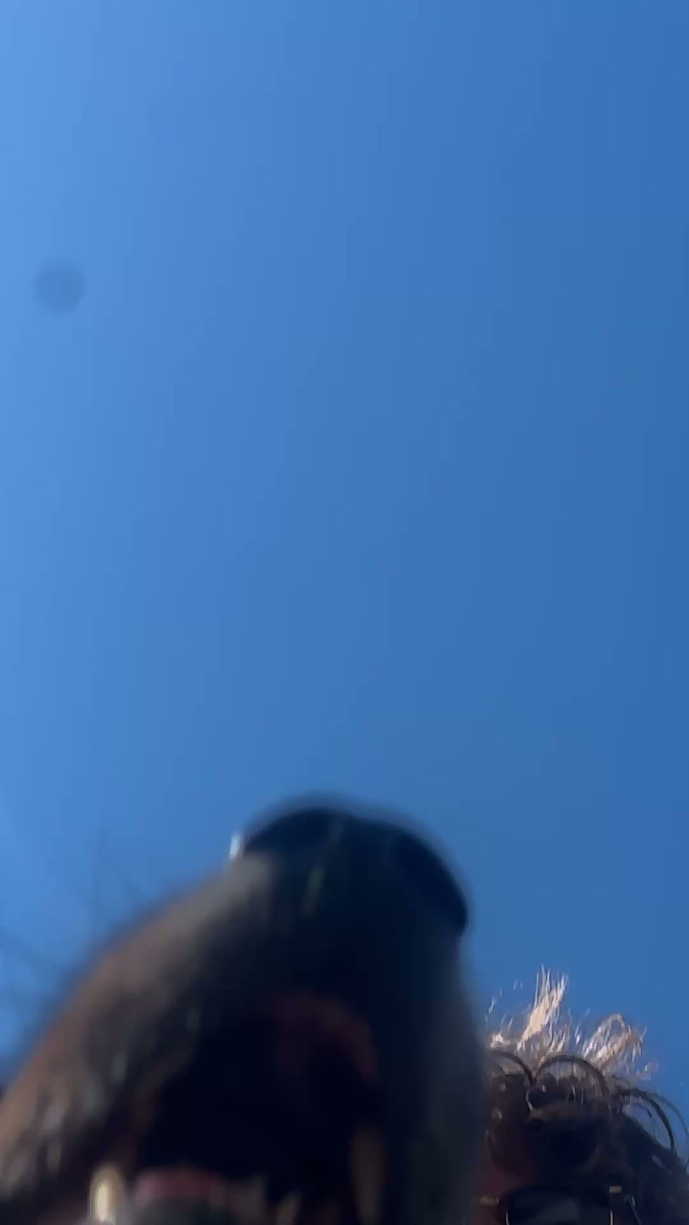 Silly Goose.mov