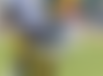 Green Bay Packers Injury Update: MarShawn Lloyd Returns to Practice
