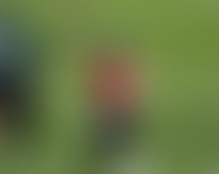 Jets QB Justin Fields Avoids Major Injury, But Still Day-to-Day After Toe Scare