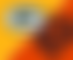 Playoff Stakes: Bears vs. Packers – A Rivalry Renewed