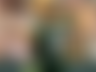 Green Bay Packers Injury and Roster Update