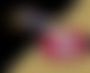 Ravens vs 49ers Preview