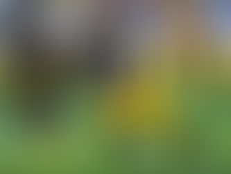 Dream of a Lifetime! Devin Bush Joins Bobby Wagner on the Seattle Seahawks Defense
