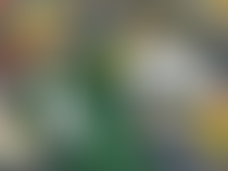 Revealing the Top Green Bay QB of All Time!
