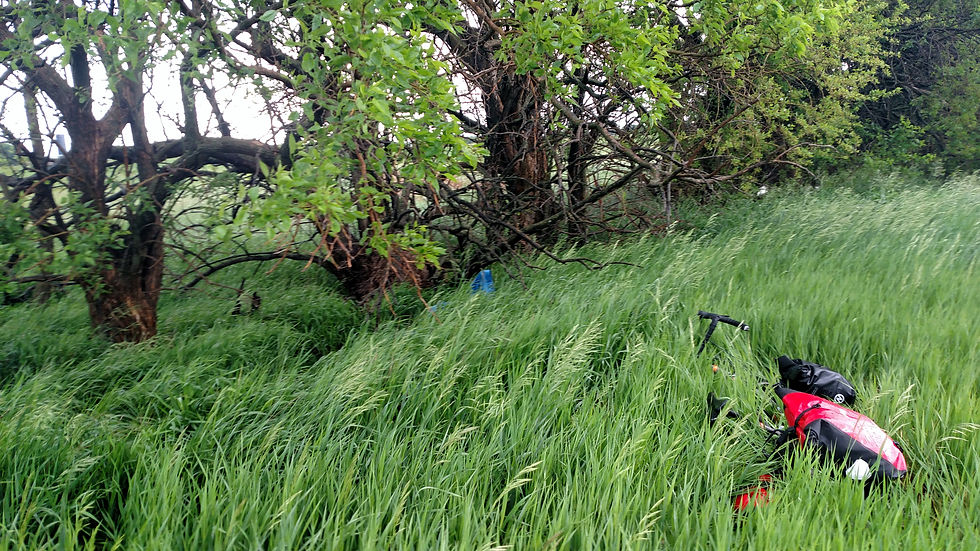 Camera8 016.jpg