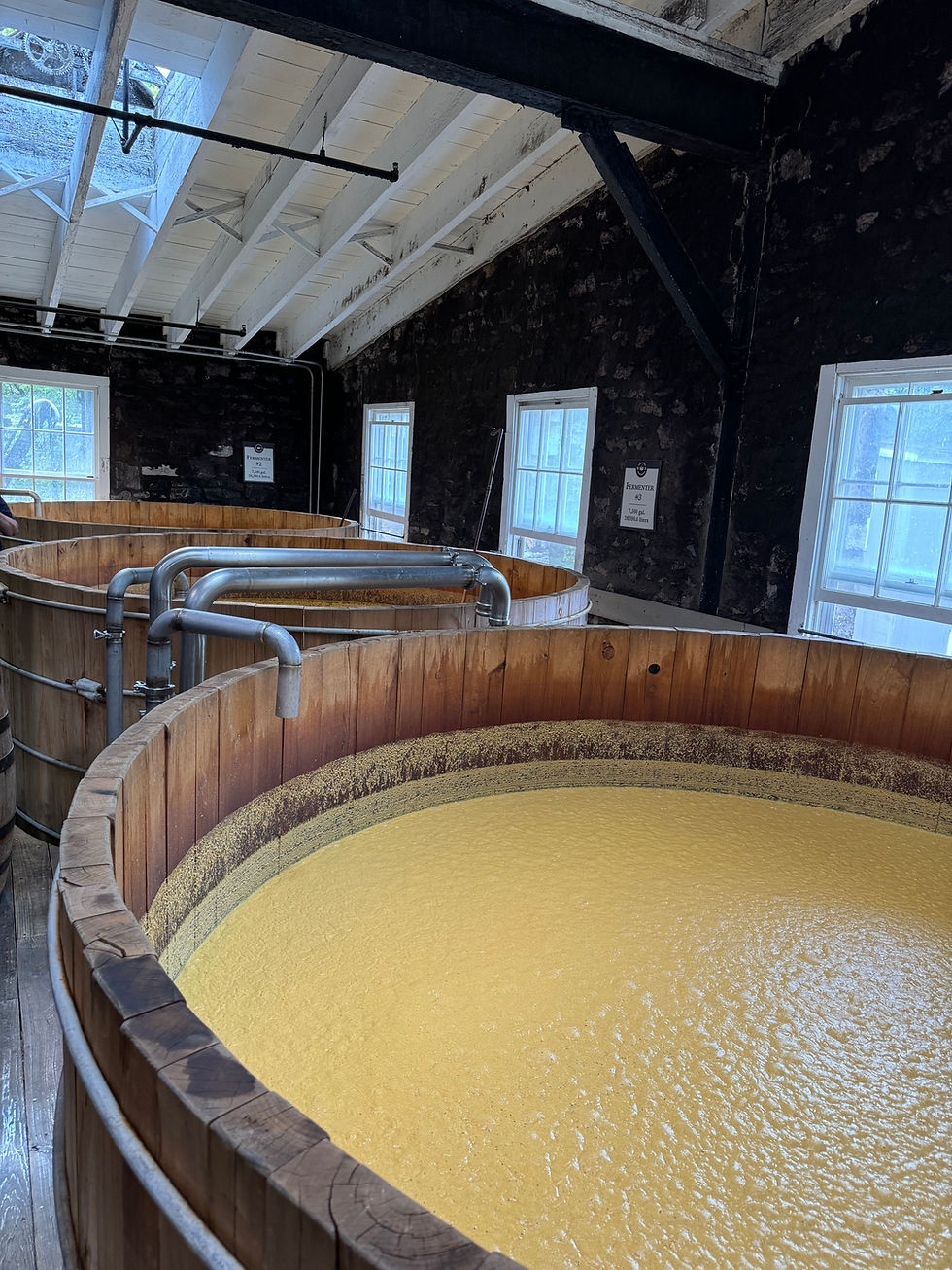 Whiskey mash fermenting