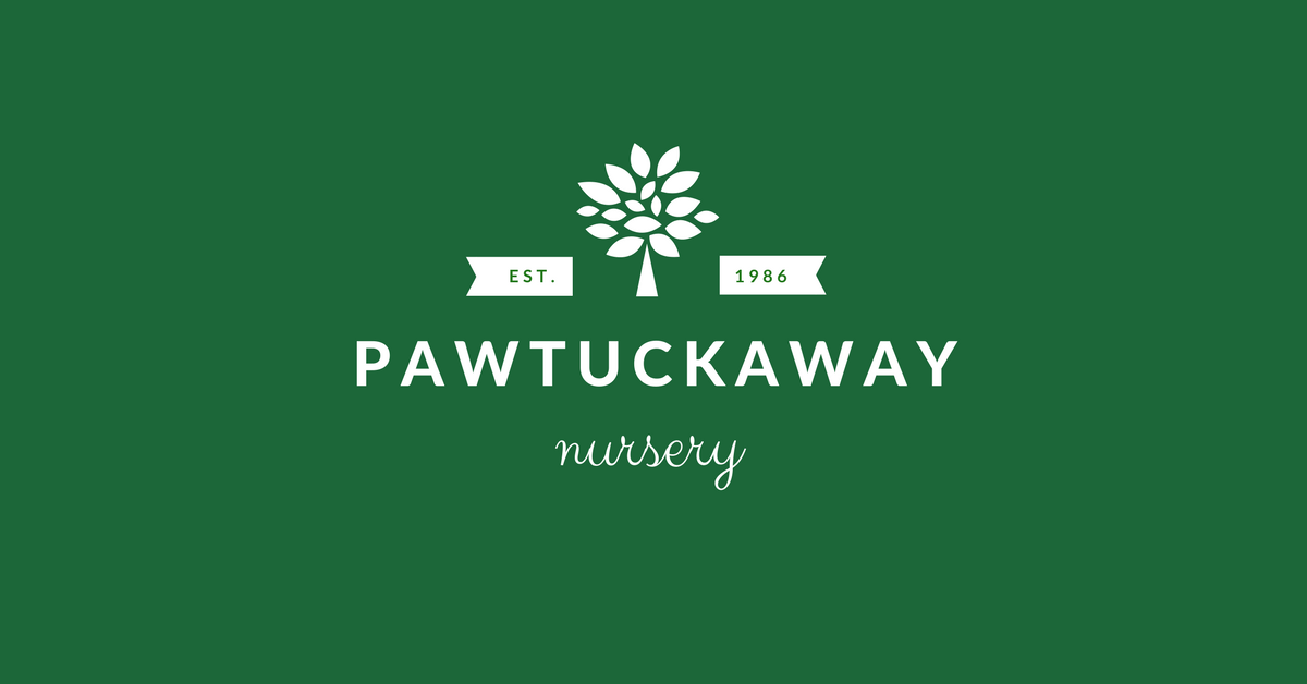 Pawtuckaway Nursery Tree Shrub Perennial Garden Center Lee Nh Perennial Garden Center Lee Nh