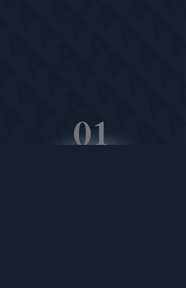 APS Web Asset 1080x1680.png