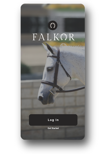 2024_0430 Falkor_edited.png