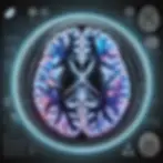 brain scan neuropathways.webp