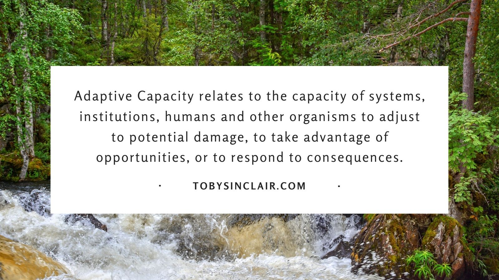 Adaptive capacity relates to the capacity of systems, institutions, humans and other organisms to adjust to potential damage, to take advantage of opportunities, or to respond to consequences.