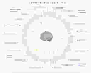 A list of biases related to Unconditional Positive Regard