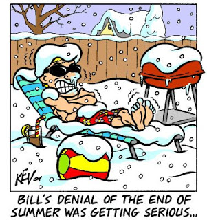 Denial Cartoon
