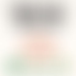 Summary: The Social Brain by Tracey Camilleri, Samantha Rockey, Robin Dunbar