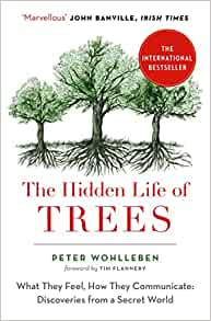 The Hidden Life of Trees Book Cover