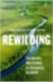 Rewilding Book Cover