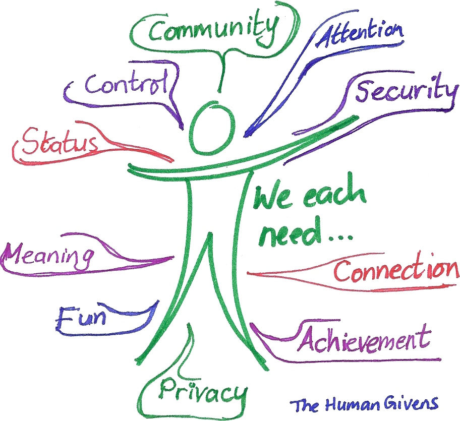 Human Given Needs Coaching Model
