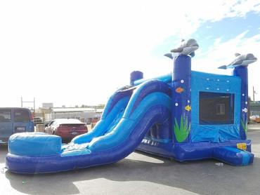 Ocean combo with slide $280
