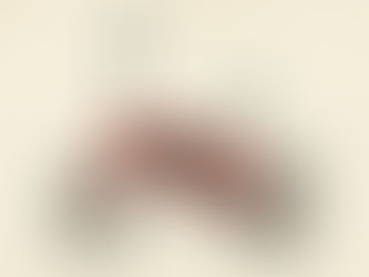 Transforming Ideas into Successful Businesses