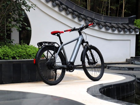 Elevate Your E-Bike Business with Expert Consulting and Join Me at Eurobike 2024