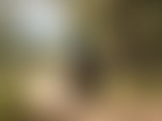 Building Ventures with Purpose at ZÆT