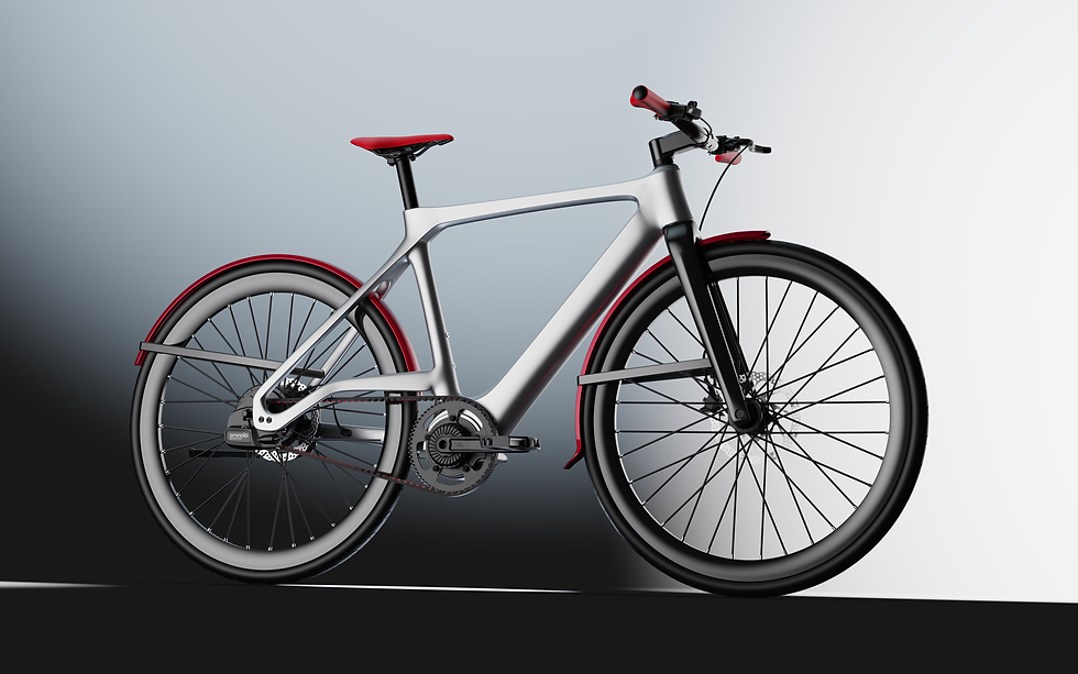 The Story Behind the White Label Ebike Project