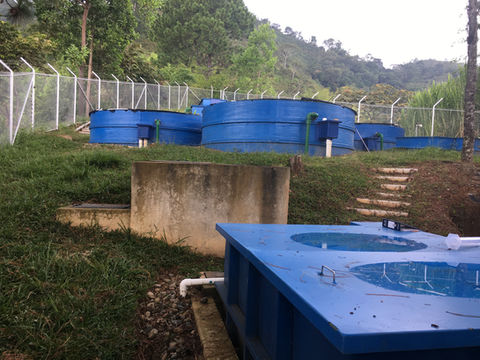 Tanques  y Filtros PTAP