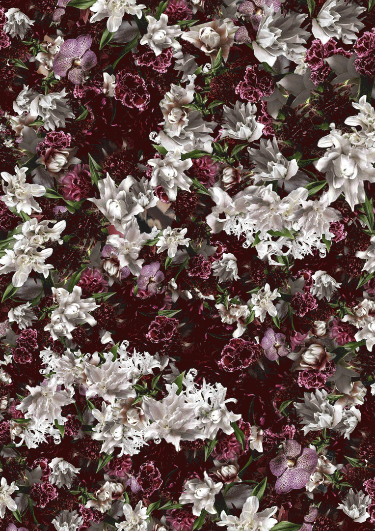 Erdem-Branding-2-update.gif