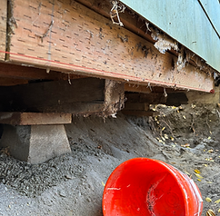 image of dry rot on a house
