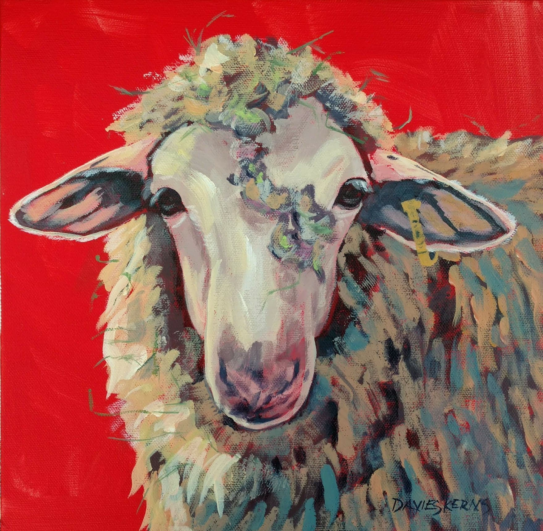 SWEET LITTLE EWE