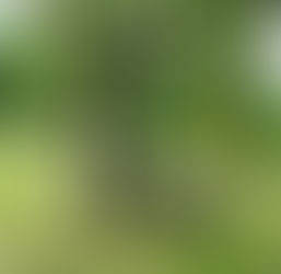 Départ de notre mascotte