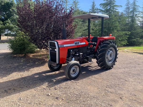 434944108_122142323042057566_7078025094589991559_n