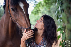 Photographie Chevaux