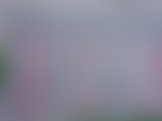 The Magic of Presence