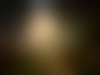 What Happens in the Process of Spiritual Direction?