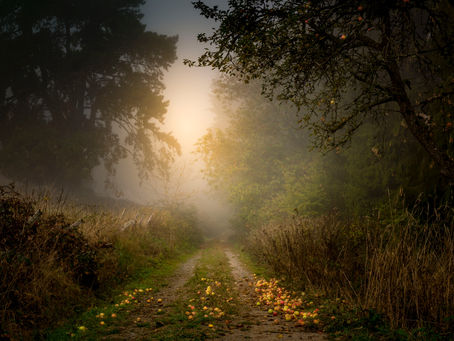 What Happens in the Process of Spiritual Direction?