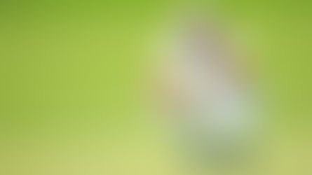 PGA Championship preview and golf betting tips 2023