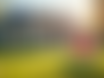 The Essential Benefits of Life Insurance for Securing Your Family's Financial Future