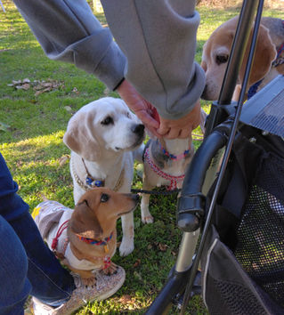 今年も会えました