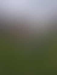 高所作業車が上がらない(^^)　孫とふたりはムリ？