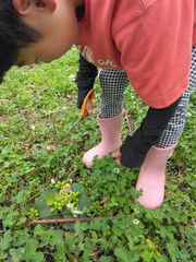 可愛いお客様