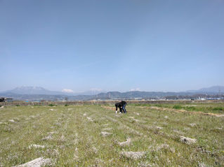 わらあげの準備