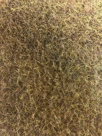 Static grass on waxpaper.jpg
