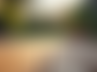 Understanding the Costs of Building a Deck in Melbourne