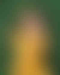 Hudson Valley Family Photographer