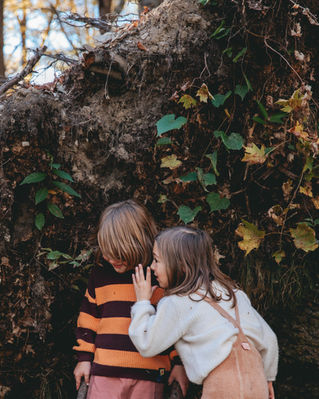 Hudson Valley Family Photographer